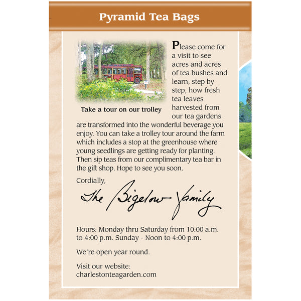 Cinnamon Spice Pyramid