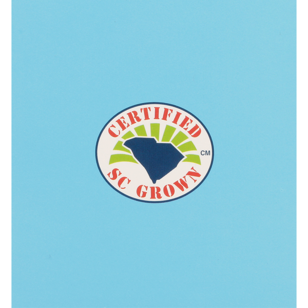 American Classic Pyramid