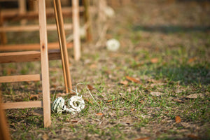 Close-up of a wooden garden structure beside a small white flower lying on grass and leaf-strewn ground in a natural outdoor setting