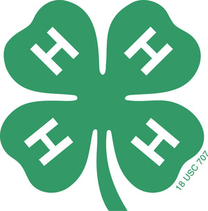 Green four-leaf clover icon with four white letter H's, representing a well-known youth development organization logo.