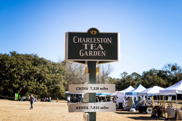 Charleston Tea Garden sign with distances to China and Kenya, surrounded by trees and tents at an outdoor event on a sunny day.