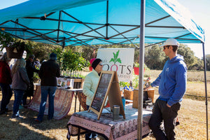 Visitors gather at an outdoor tea stand beneath a blue canopy, with a display board, patterned tables, tea containers, and a garden sign in the background.