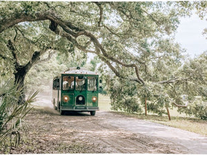 A green trolley sits beneath beautiful oak trees that stretch up and the flow down to the ground like a rolling wave