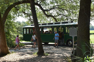 A photo of a trolley tour in Charleston at the Charleston Tea Garden Tea Farm, a Bigelow Tea partner. 
