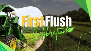 Simulated alt text for Unused File for charleston-tea-plantation.myshopify.com. You are an expert SEO agent. You will generate an ALT text for this image. <Image_Context> ***CRITICAL*** Look for png icons, logos, buttons, or interface eleme...