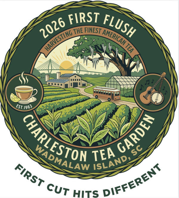 Illustration of Charleston Tea Garden on Wadmalaw Island with tea fields, a tea factory, a bus, a large tree, and musical instruments, celebrating the 2026 first flush tea season.