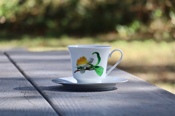 Charleston Tea Garden Cup and Saucer