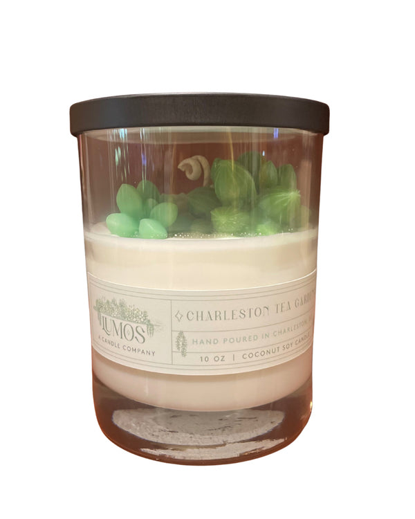 Succulent Garden CTG Candle 8oz