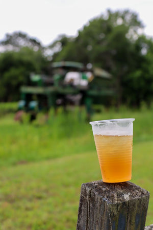 Clear plastic cup of amber iced tea resting on a weathered wooden post, with lush green fields and trees softly blurred in the background.