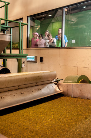 An image of a tea factory tour at Charleston Tea Garden in Charleston, South Carolina