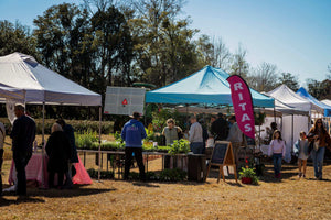 Outdoor market scene with people browsing various white and blue canopy tents on a sunny day, surrounded by trees and dry grass under a clear sky.