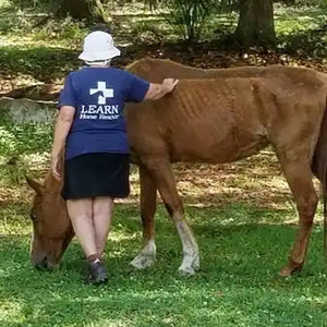 Person in a sun hat gently pets a brown cow grazing on grass beneath trees while wearing a blue Learn Here shirt
