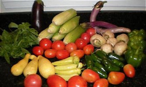 Colorful assortment of fresh vegetables including tomatoes, eggplant, zucchini, peppers, onions, squash, greens, and cucumbers arranged together.