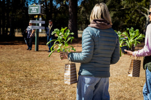To women walk it the CTG vendor field caring plant they just bought at the Charleston Tea Garden 2026 Garden Show 